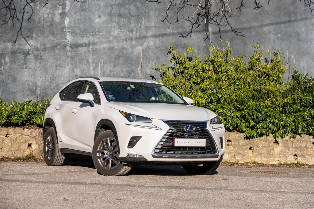 Lexus NX300h Executive Line | Vendue